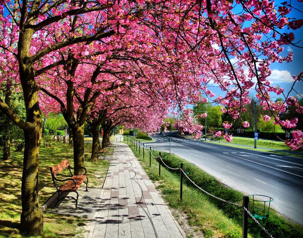 Relax Apartment House 잘라카로쉬 외부 사진